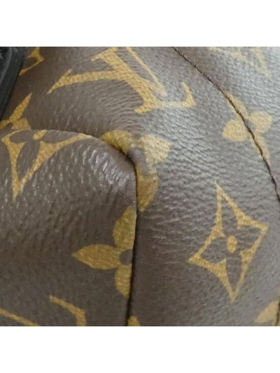 Louis Vuitton Monogram Palm Spring Backpack MM Sac main image 8